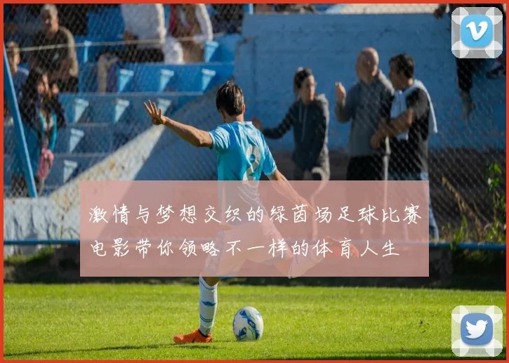 激情与梦想交织的绿茵场足球比赛电影带你领略不一样的体育人生