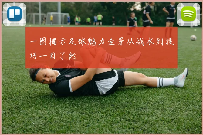 一图揭示足球魅力全景从战术到技巧一目了然