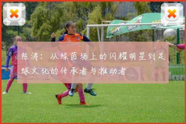 陈涛：从绿茵场上的闪耀明星到足球文化的传承者与推动者