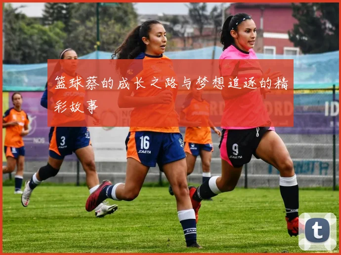 篮球蔡的成长之路与梦想追逐的精彩故事