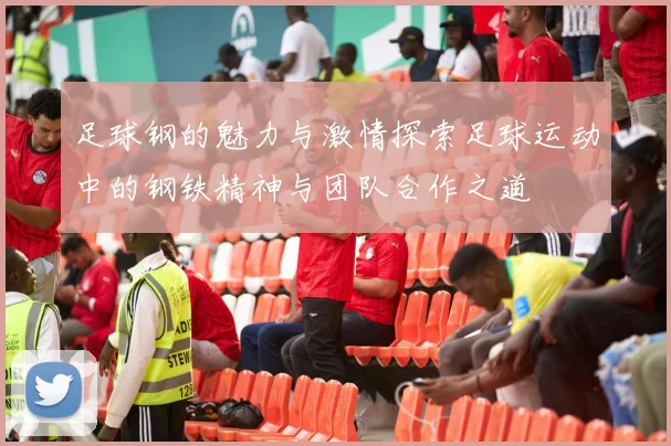 足球钢的魅力与激情探索足球运动中的钢铁精神与团队合作之道