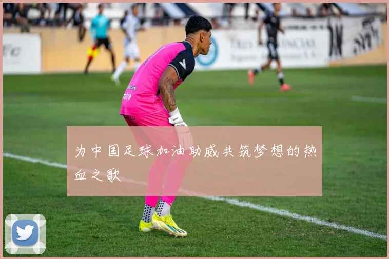 为中国足球加油助威共筑梦想的热血之歌