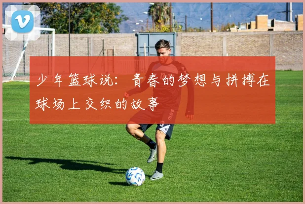 少年篮球说：青春的梦想与拼搏在球场上交织的故事