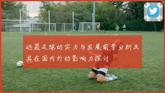 远晟足球的实力与发展前景分析及其在国内外的影响力探讨