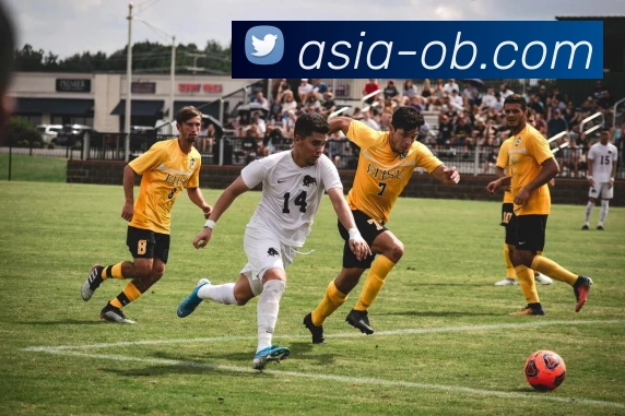 欧博体育公司平台生态图