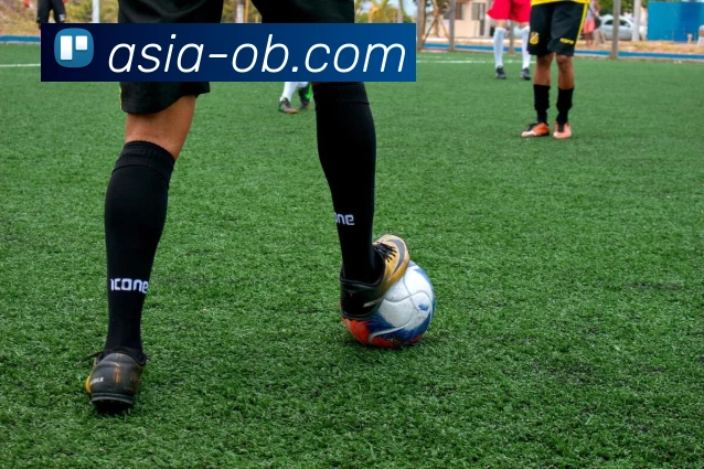 欧博体育公司全站App